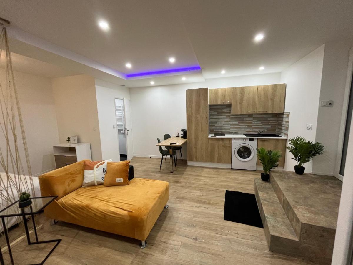 Appartement Luxe Jaune Saint-Etienne  Zewnętrze zdjęcie